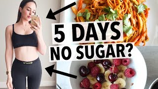 5 DAYS NO SUGAR CHALLENGE  HOW I QUIT SUGAR  HEALTHY RECIPE IDEAS [upl. by Dorsey]