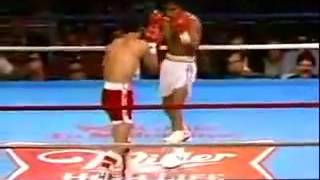 Wilfredo Gomez vs Lupe Pintor［Full Fight］ [upl. by Chaker]