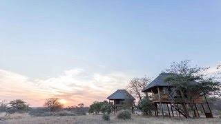 nThambo Tree Camp Klaserie Nature Reserve Kruger National Park [upl. by Randal]