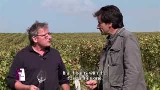 Understanding Loire Valley Sancerre with Alphonse Mellot [upl. by Ainedrag]