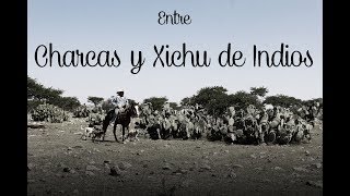 Entre charcas y Xichu de Indios Entre Victoria y Dr Mora [upl. by Kcirdderf]