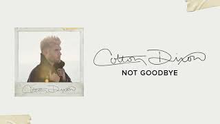 Colton Dixon  Not Goodbye Official Audio [upl. by Magee]