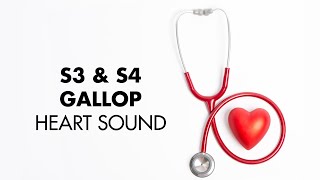 S3 and S4 Gallop  Heart Sounds  MEDZCOOL [upl. by Stimson]