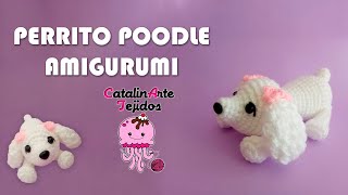 Perrita poodle LULÃš amigurumi  CatalinArte Tejidos [upl. by Nylarak956]