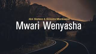 Alick Macheso  Mwari Wenyasha [upl. by Ayin]