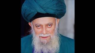 Surah Yasin Recitatiton by Mawlana Shaykh Nazim [upl. by Aicilegna]