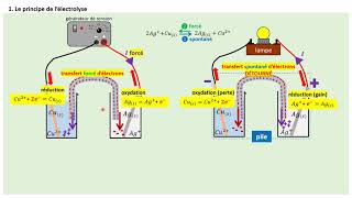 TERMspé Lélectrolyse le cours [upl. by Eldnek235]