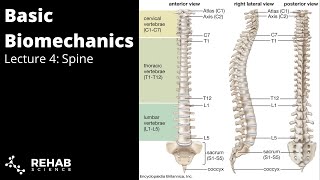 Biomechanics Lecture 4  Spine [upl. by Binetta957]