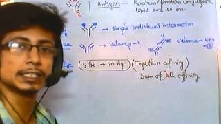 Serologic Testing What Are Antibodies [upl. by Cedric]