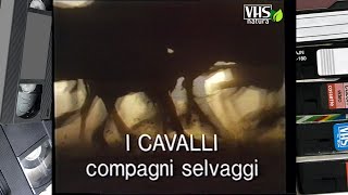 I CAVALLI compagni selvaggi [upl. by Grim]