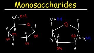 Monosaccharides  Glucose Fructose Galactose amp Ribose  Carbohydrates [upl. by Tomkin665]