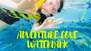 Adventure Cove Waterpark Singapore  Sentosa Island  4K 2021 [upl. by Nytsua236]