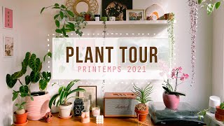 PLANT TOUR 2021 – Ma collection de 80 plantes dintérieur 🌿 [upl. by Atokad]