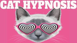 Sound To Calm Cats Within Minutes  Cat Hypnosis [upl. by Marchese]