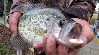 Crappie Fishing With A Bobber and Live Minnows [upl. by Introc]