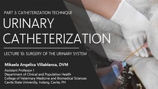 Lecture 104 Urinary Catheterization Technique [upl. by Richmound91]