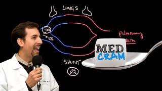 Shunting Explained Clearly Pulmonary Shunt [upl. by Lenhart]