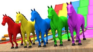 Learn Colors with Horse  Colors Learning Videos for Children  Animation for Kids [upl. by Bullis]