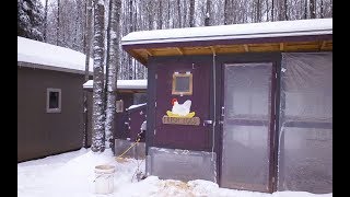 Chicken coop tours and WINTER weather tips for poultry keeping [upl. by Hterrag82]