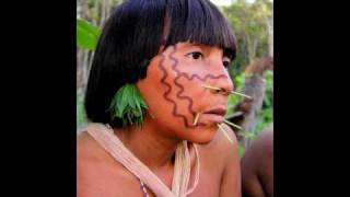 Tribes of the Amazon Rainforest  Yanomami Yekuana and Piaroa [upl. by Birkner]