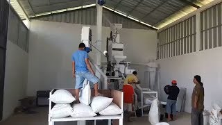 best mini rice mill 15 TPH PHNE [upl. by Airbma]