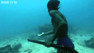 ‪Superhuman Filipino diver from the Badjao tribe BBC [upl. by Selassie]