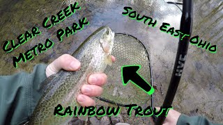 Amazing Trout Fishing in Ohio Clear Creek Metro Park [upl. by Norman]