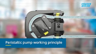 How do peristaltic pumps work Industrial  WMFTS [upl. by Dnomaid]