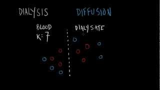 Dialysis Basics [upl. by Etiuqram770]