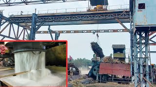 How To Manufacturing Sugar From Sugarcane In Sugar Mill With All Process 2021 [upl. by Briant]