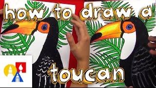 How To Draw A Realistic Toucan [upl. by Powel]