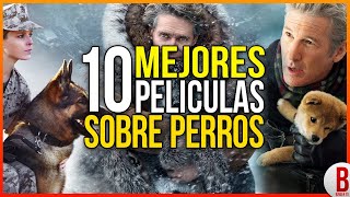 TOP 10 MEJORES PELÍCULAS DE PERROS  Películas Que Te Harán Llorar [upl. by Attikin]