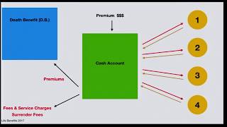 How Life Insurance Works [upl. by Kalman]