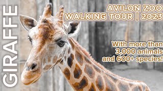 AVILON ZOO WALKING TOUR 2023 [upl. by Rammaj977]