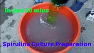 How to prepare Spirulina culture  Organic  7057700035 [upl. by Gordie]