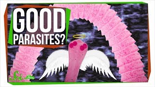 Why You Might Want Parasitic Worms [upl. by Jeminah327]