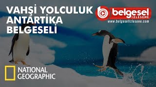 Vahşi Yolculuk Antarktika Belgeseli  Türkçe Dublaj [upl. by Zere]