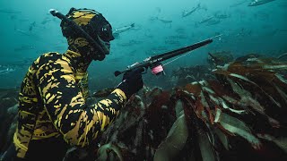 SPEARFISHING BASICS IN UNDER 2 MINUTES [upl. by Kehsihba]