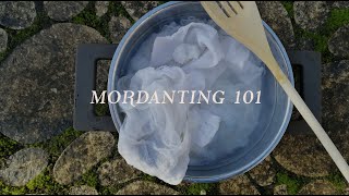 HOW to MORDANT a CELLULOSE FABRIC  Natural dyeing at home  Botanical colours [upl. by Harrak]