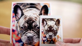 Printing photos at home  Why amp how Canon iP8750Instax SP2 [upl. by Etnuhs]