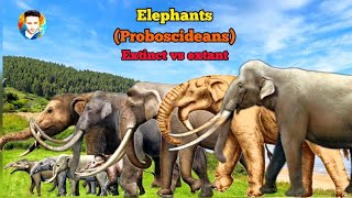 ELEPHANTS  Size comparison  All proboscideans [upl. by Proffitt223]