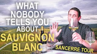 The Origins of Sauvignon Blanc – Inside Sancerre Wine amp the Loire Valley of France [upl. by Andrei]