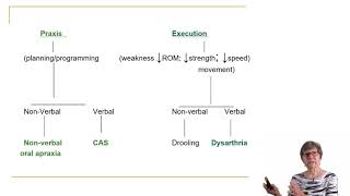 Introduction to Childhood Apraxia of Speech [upl. by Nirej]