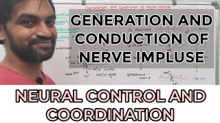 Generation and conduction of nerve impulse [upl. by Bollinger]