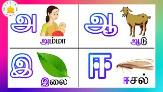 உயிர் எழுத்துக்கள் Uyir Ezhuthukal  Learn Tamil Alphabets  Tamilarasi for Kids [upl. by Eerrehs]