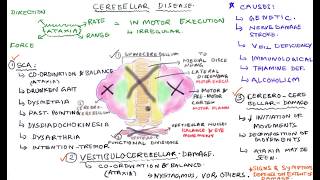 Cerebellar Disease  Cerebellar Lesions [upl. by Einnil19]