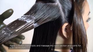 Brazilian Keratin Application Process FULL Version [upl. by Anahgem]