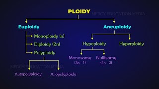 NUMERICAL CHROMOSOMAL ABERRATIONS  PLOIDY [upl. by Sirod]