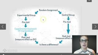 Experimental Investigation Design [upl. by Eineg982]