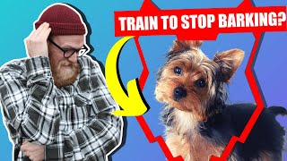 How To Stop Your YORKSHIRE TERRIER Barking [upl. by Yevreh]